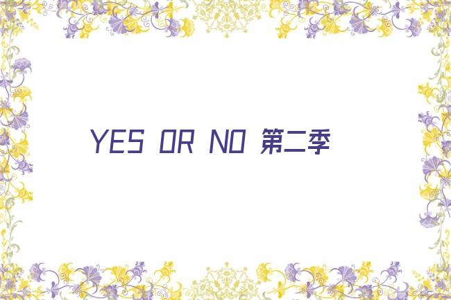 YES OR NO 第二季剧照